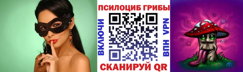 Галлюциногенные грибы Psilocybe Цивильск